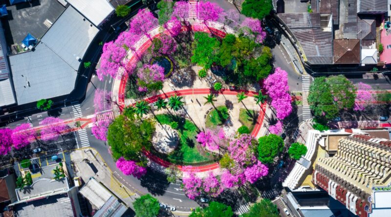 Praça Rocha Pombo - Maringá -PR.