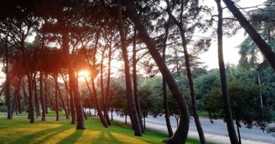 Movimento São Paulo Verde *