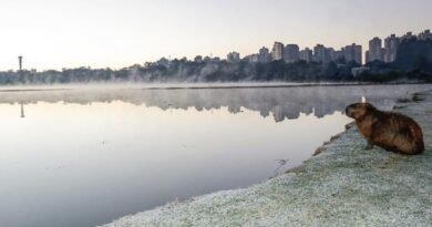 Frente fria derruba temperaturas em Curitiba com mínima de 3°C; veja previsão Frente fria derruba temperaturas em Curitiba com mínima de 3°C; veja previsão