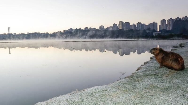 Frente fria derruba temperaturas em Curitiba com mínima de 3°C; veja previsão